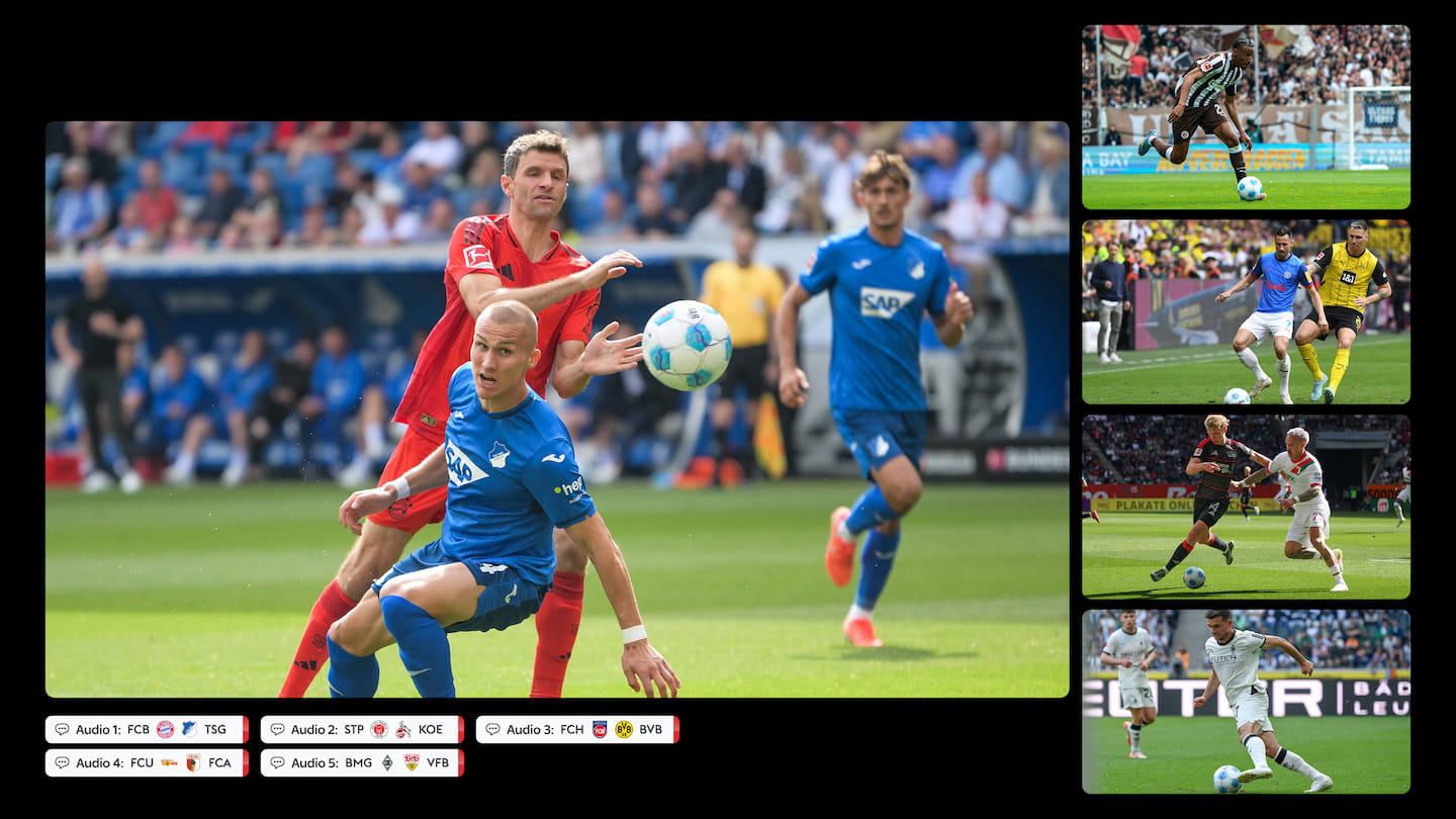 Multiview-BuLi-v2.jpg